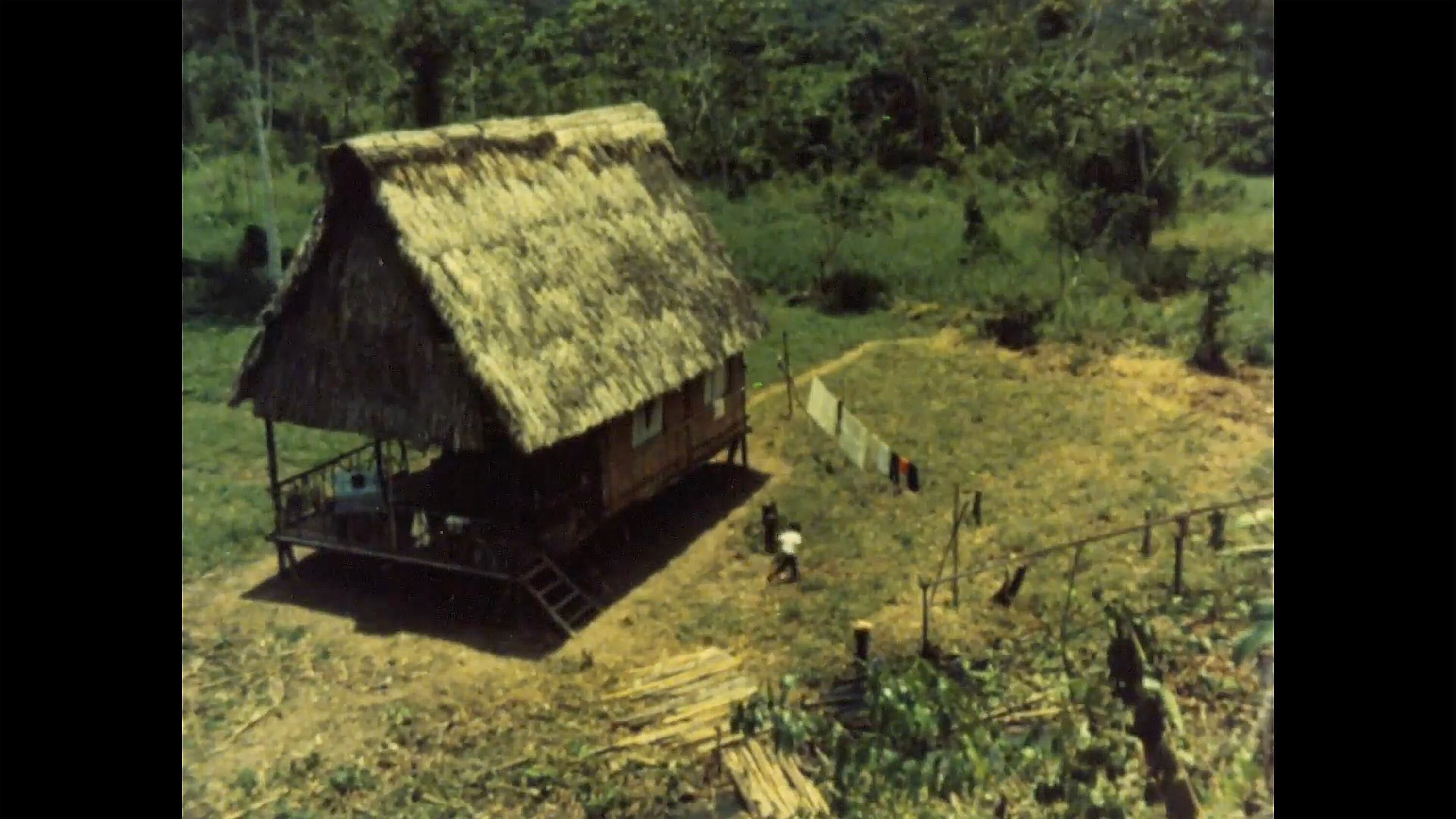 La muralla verde, de Armando Robles Godoy, inauguró el festival.