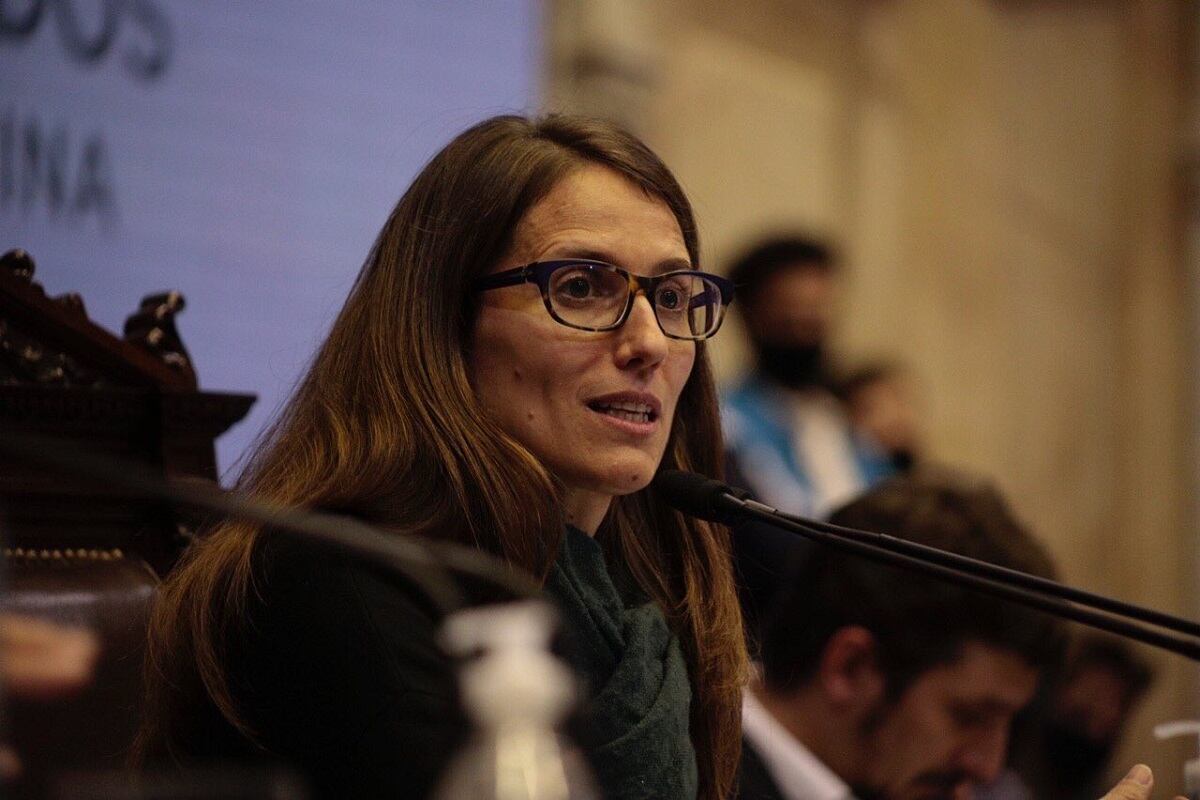 Elizabeth Gómez Alcorta, ministra de las Mujeres, Género y Diversidad.