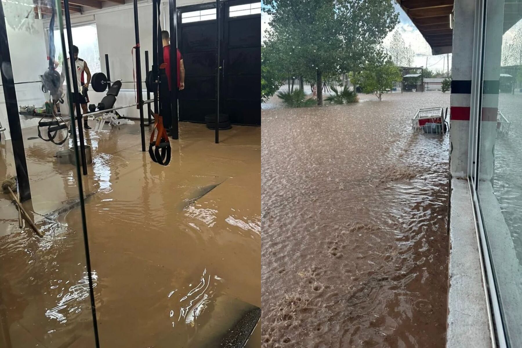 Un fuerte temporal arrasó en Mendoza: las impactantes imágenes y videos