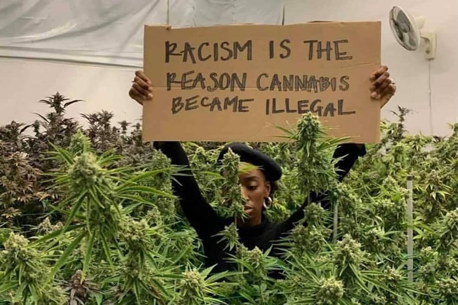 "El racismo es la razón por la cual el cannabis es ilegal".