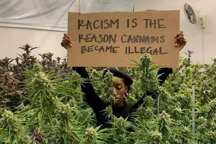 "El racismo es la razón por la cual el cannabis es ilegal".