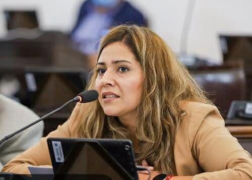 Diputada Lourdes Ortiz