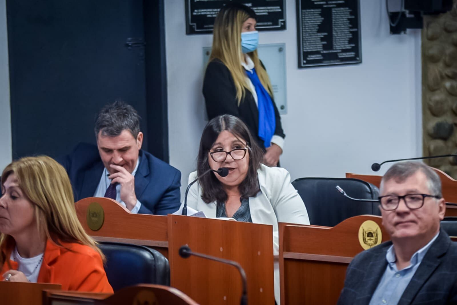 Diputada Cecilia Guerrero