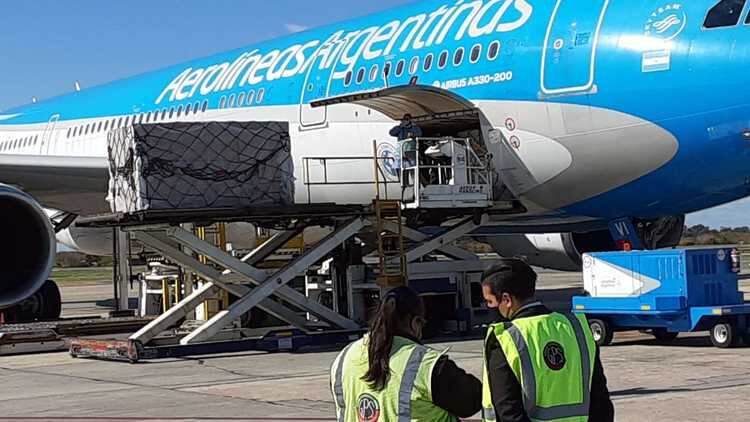 El avión, esta tarde, en Ezeiza, tras haber arribado de China. 