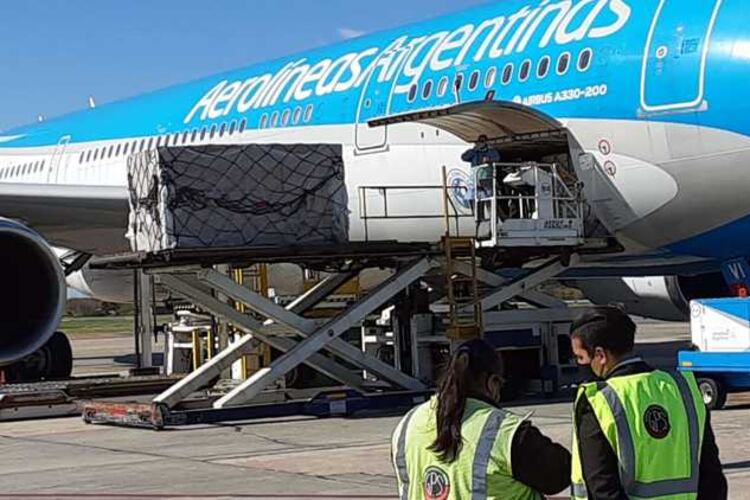 El avión, esta tarde, en Ezeiza, tras haber arribado de China.