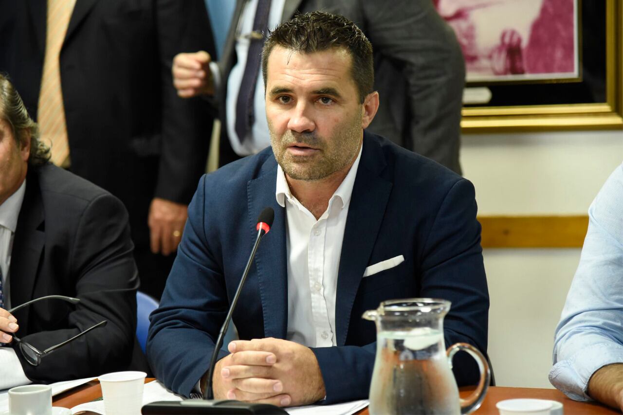 El secretario de Energía de la Nación, Darío Martínez.