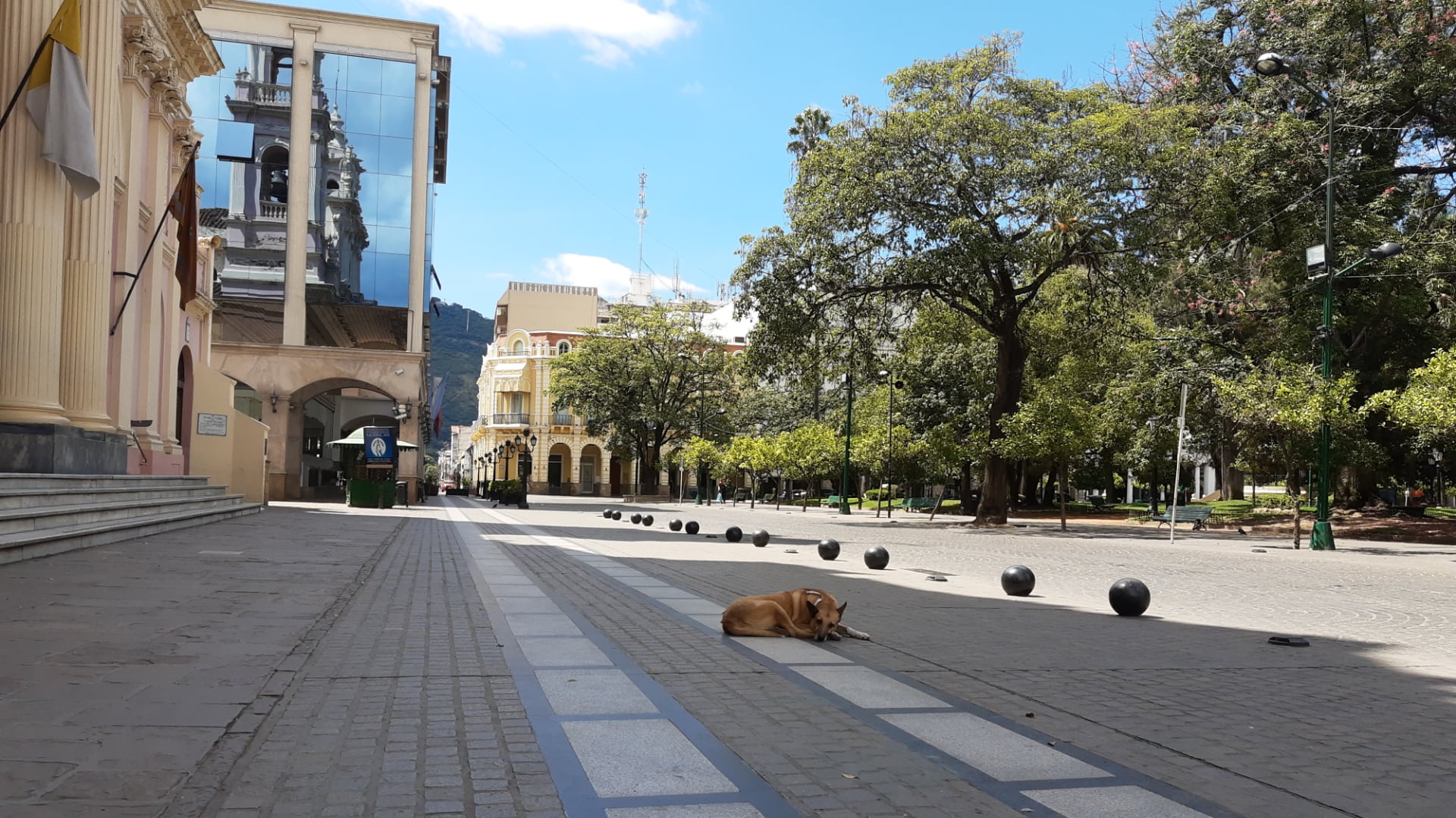 Un perro duerme en pleno centro vacío