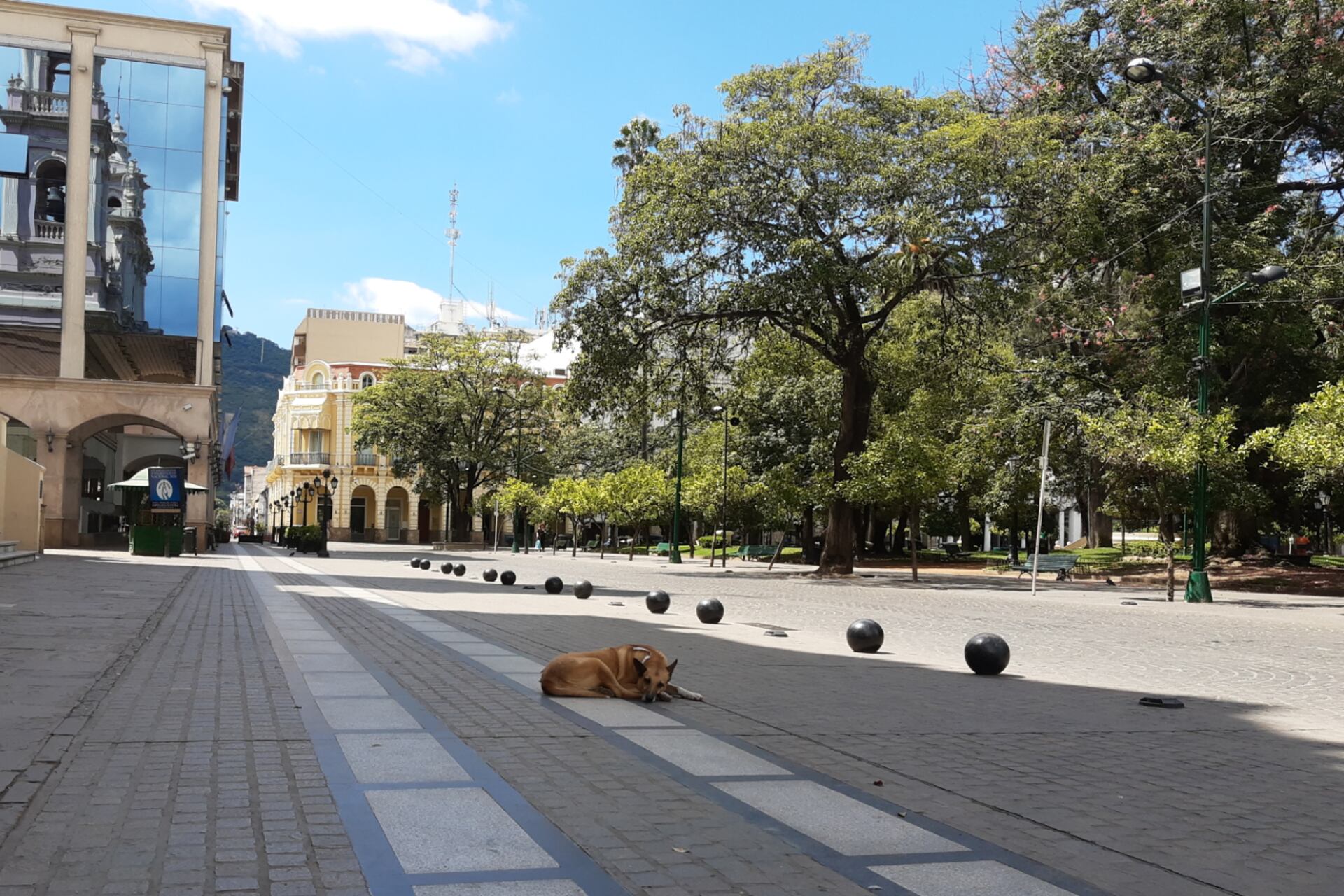 Un perro duerme en pleno centro vacío
