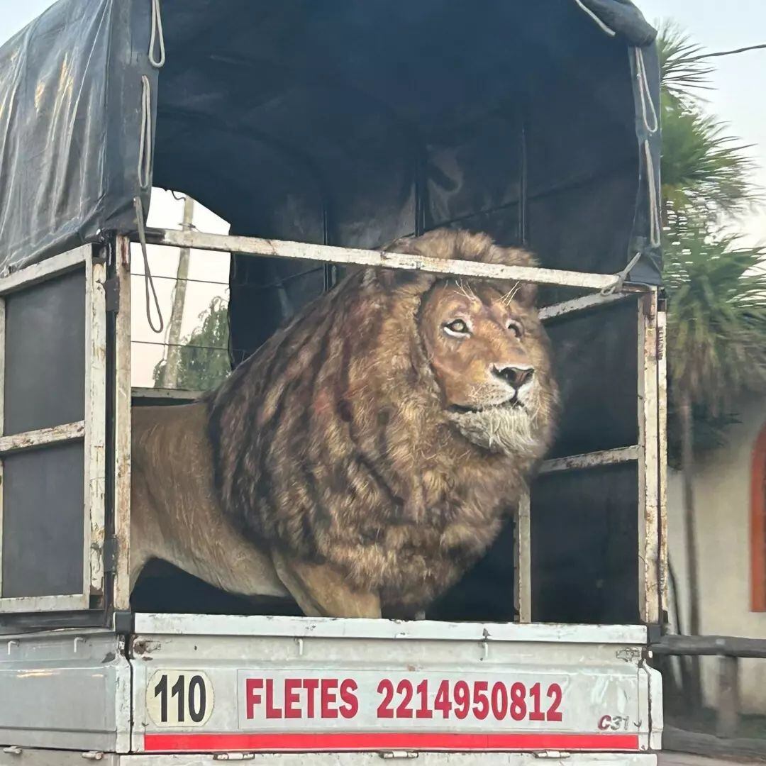 Conurban Goldwyn-Mayer, por juansedecarp.