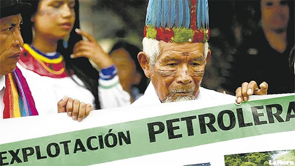 En las reuniones de la Red Eclesial Pan Amazónica se planteó la cuestión de la Amazonia, los pueblos y el medio ambiente.