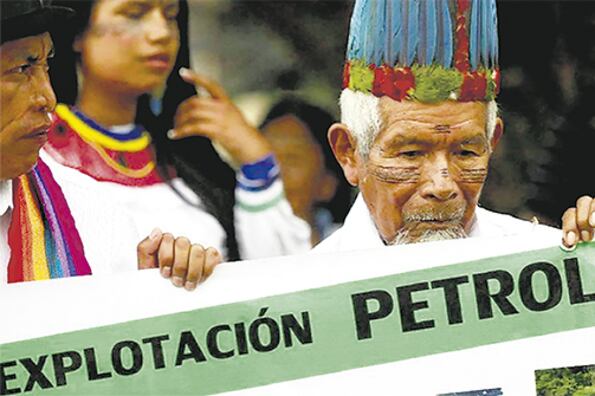 En las reuniones de la Red Eclesial Pan Amazónica se planteó la cuestión de la Amazonia, los pueblos y el medio ambiente.