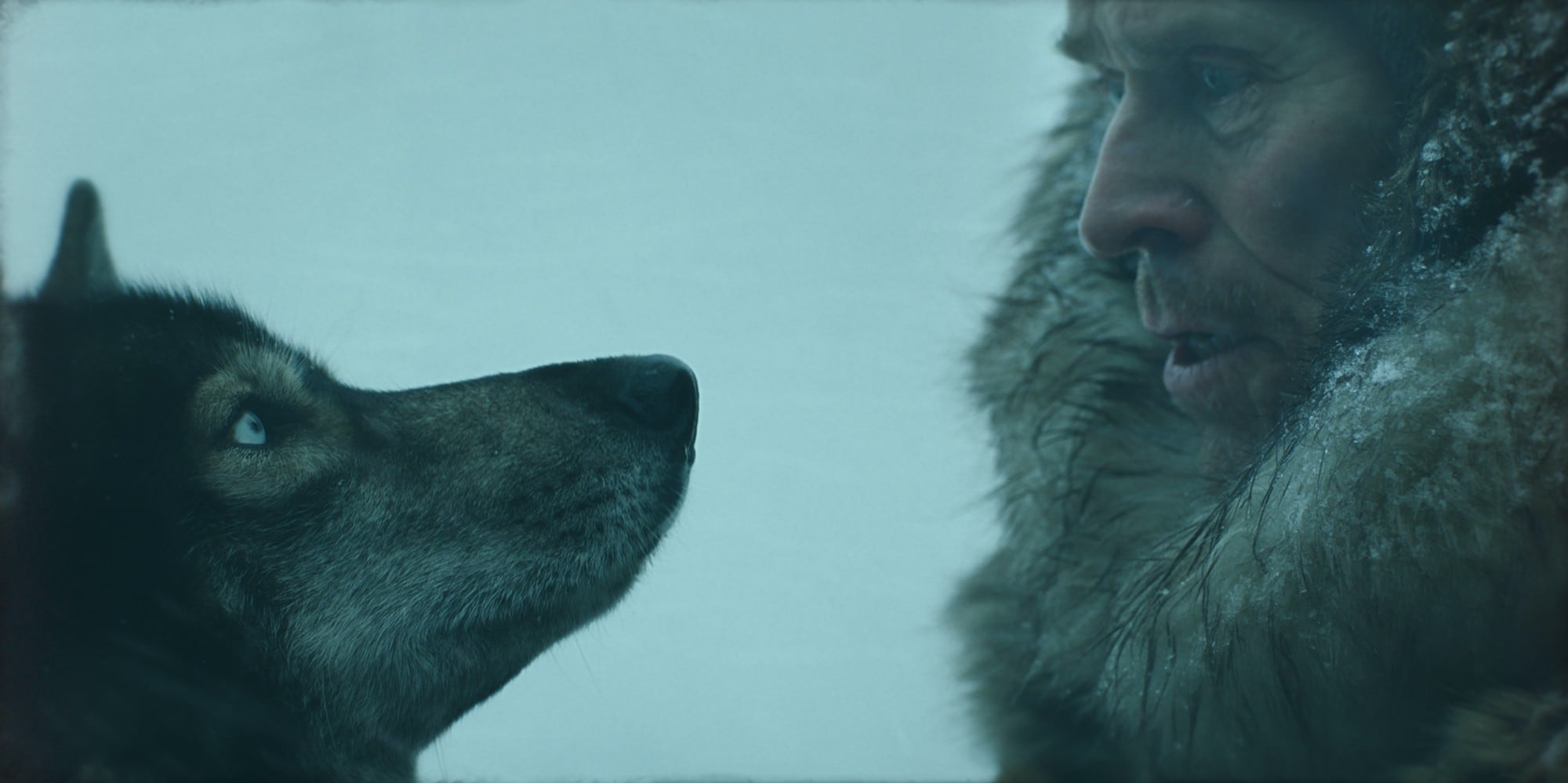 Togo junto a Willem Dafoe, unidos para enfrentar los peligros de Alaska. 