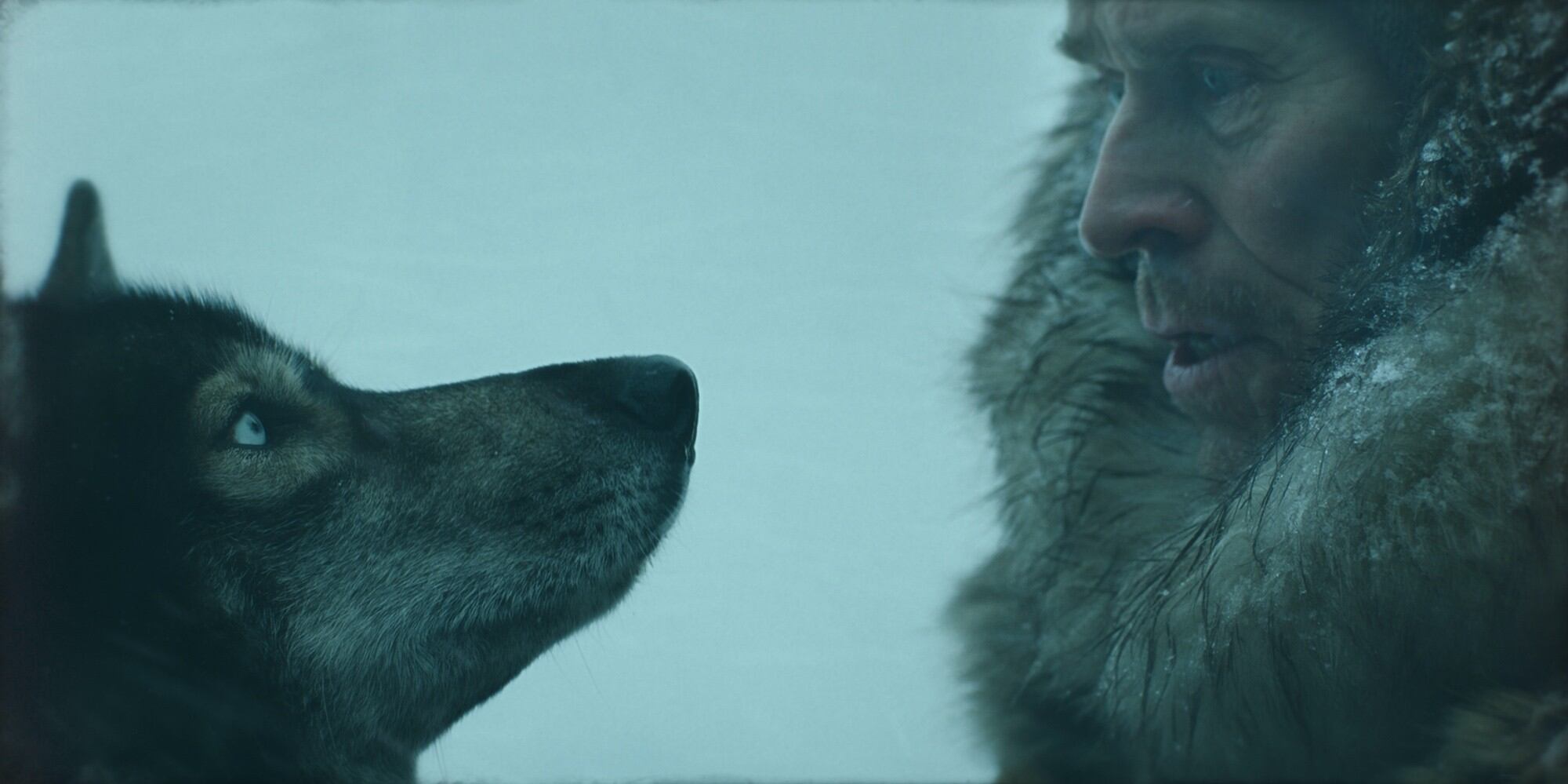 Togo junto a Willem Dafoe, unidos para enfrentar los peligros de Alaska. 