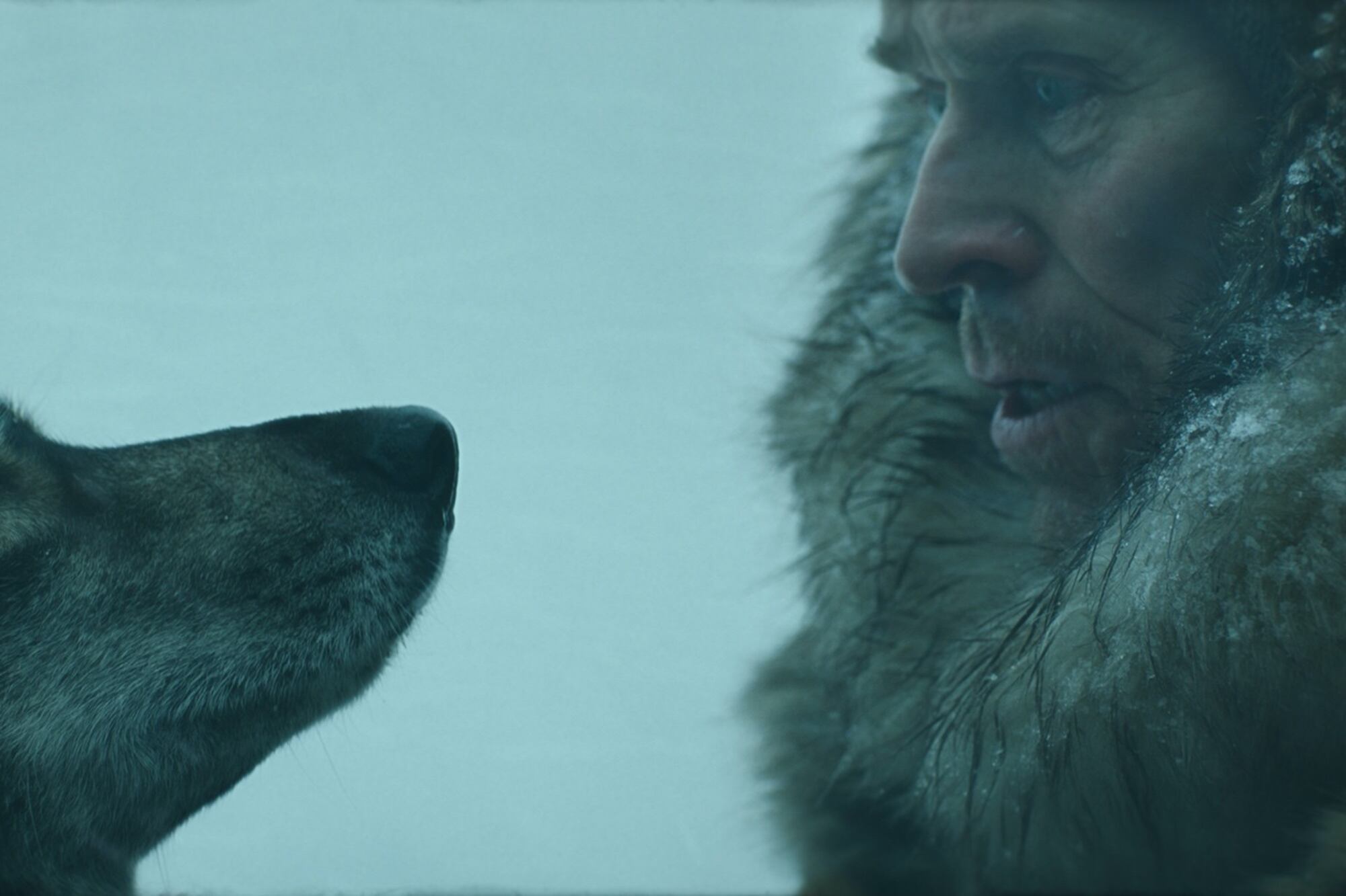 Togo junto a Willem Dafoe, unidos para enfrentar los peligros de Alaska.