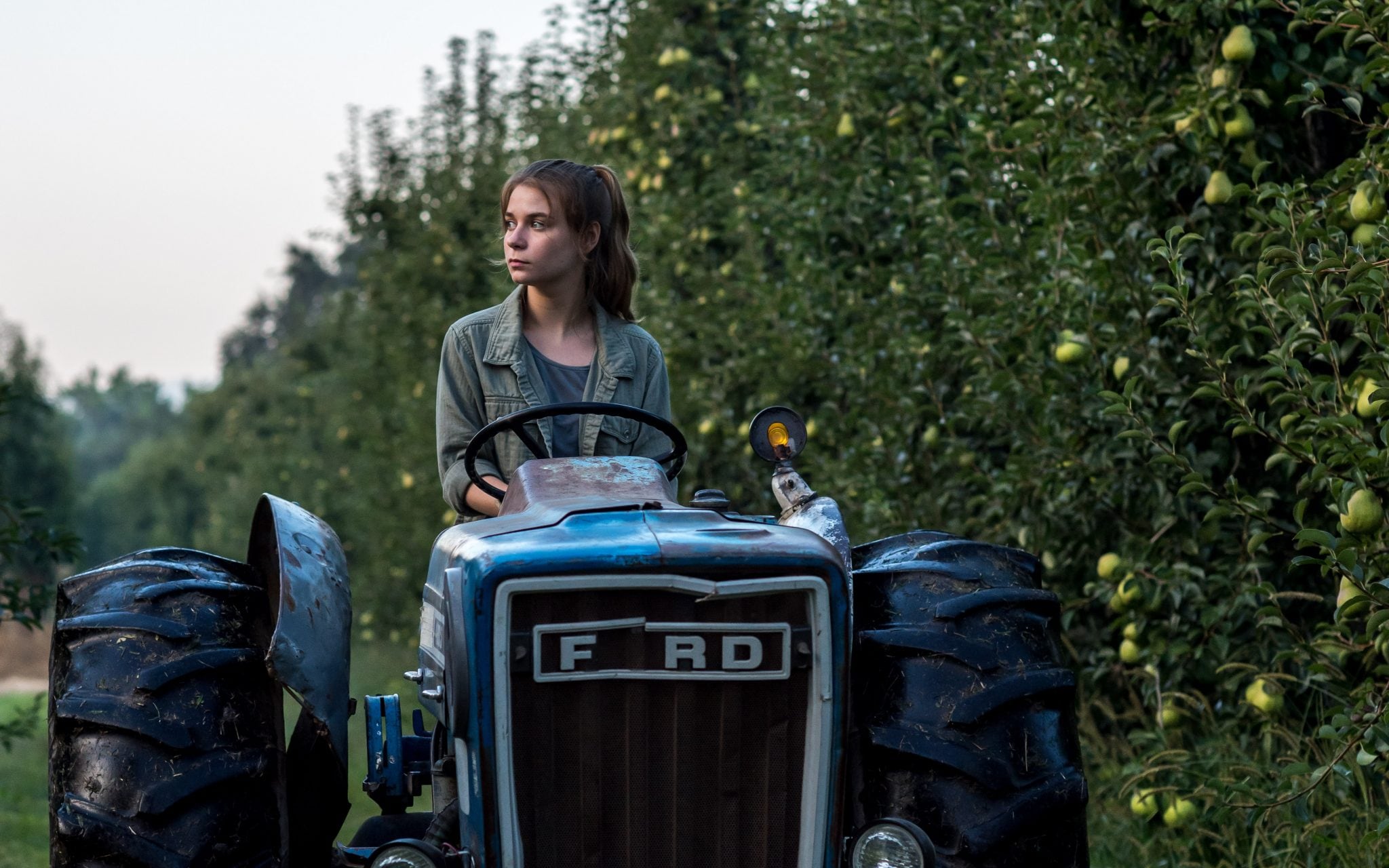 Los mejores momentos de la película están todo el tiempo amenazados por los volantazos del guion.