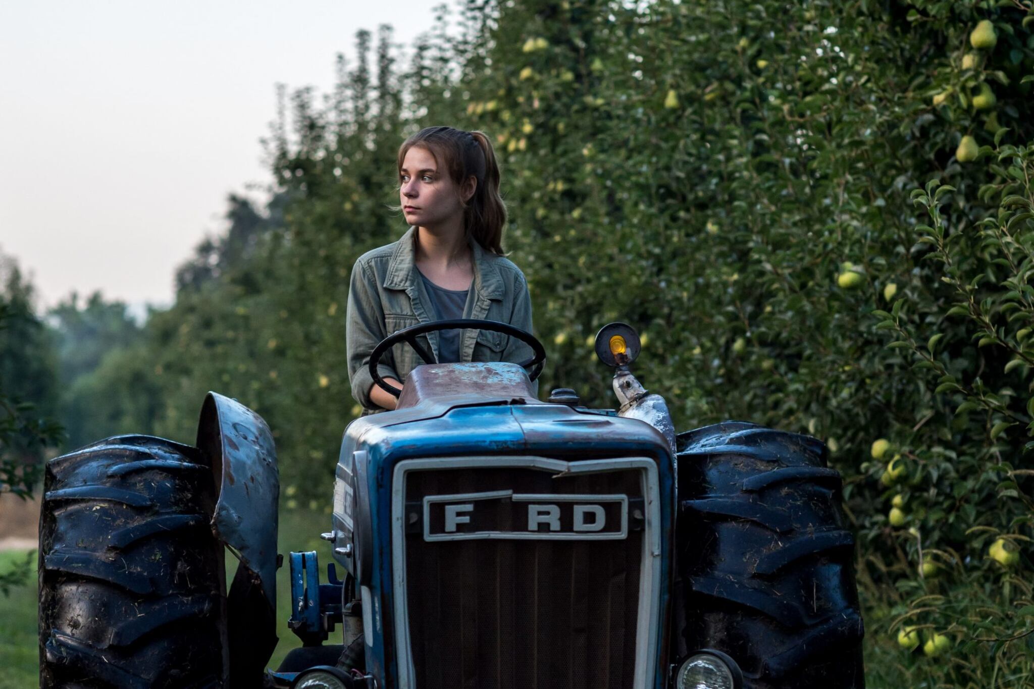 Los mejores momentos de la película están todo el tiempo amenazados por los volantazos del guion.