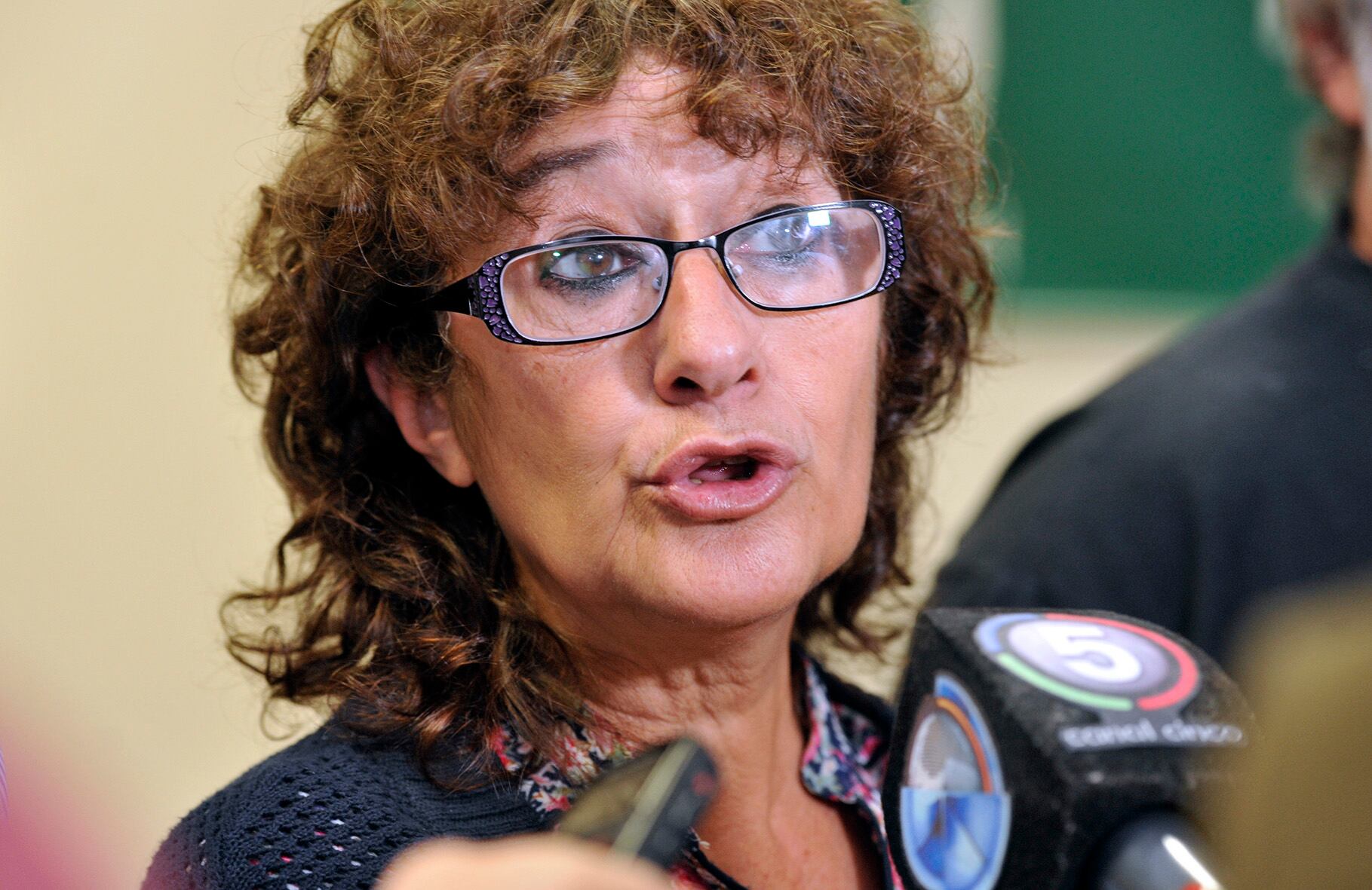 Para la dirigente de Amsafé/Ctera, la derogación de la paritaria nacional es ilegal.