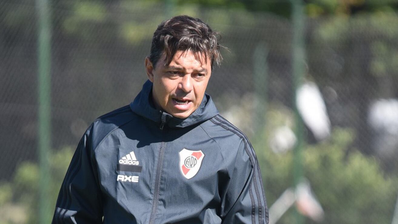 Marcelo Gallardo, DT de River Plate.