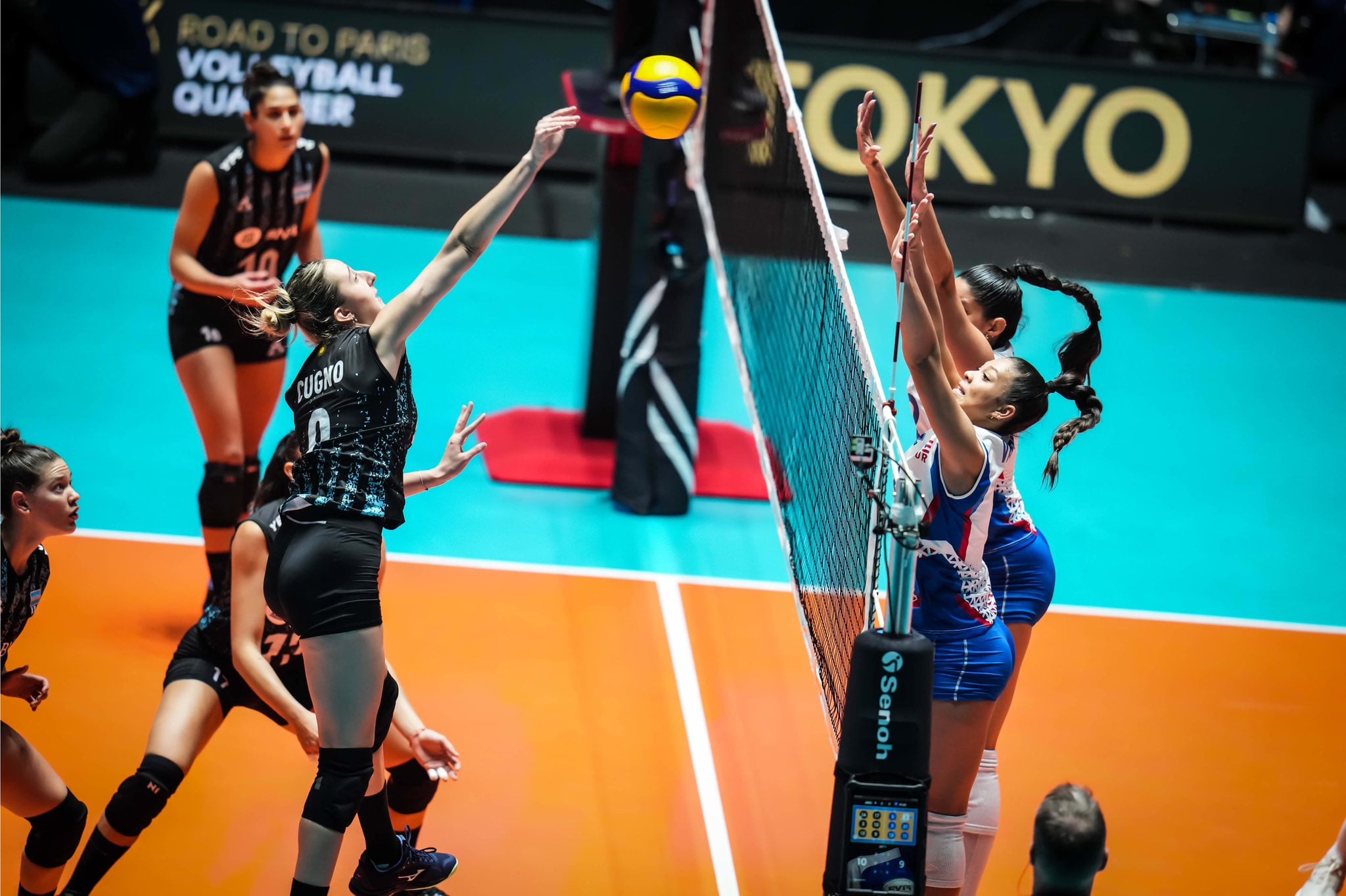 Las Panteras disputarán su penúltimo partido del certamen (Twitter @Voley_FeVA). 