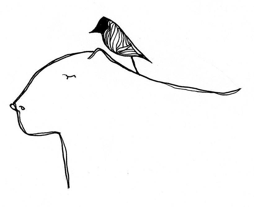 Las ilustraciones de Leiny Julieth C. intervienen entre las obras literarias.