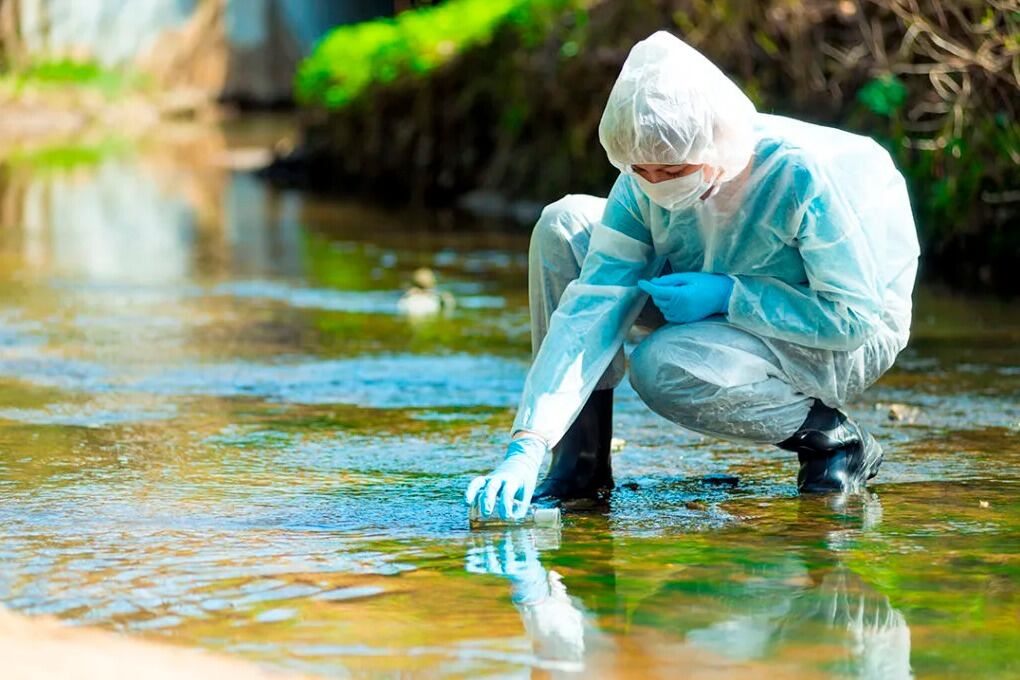 El virus fue hallado en aguas residuales de la ciudad de Florianopolis.