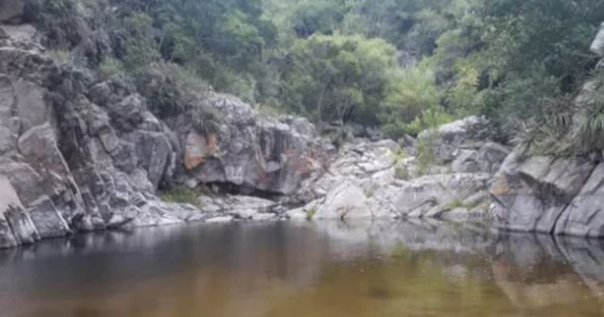The Conicet discovered a new species of rodent in the saws of Córdoba