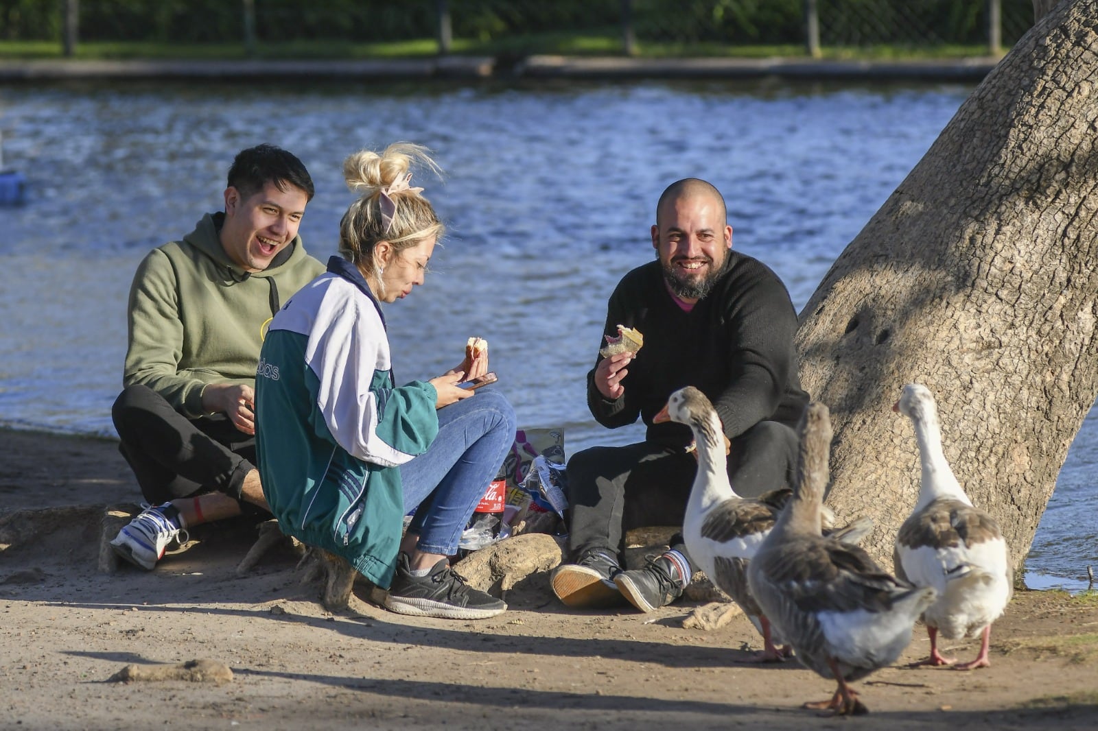  8 de diciembre feriado nacional 