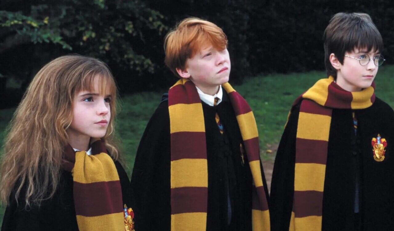 La película se estrenó en 2001, fue un éxito mundial e inició una saga de otros 7 films. 