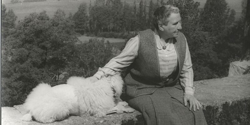 Stein y su perro Basket