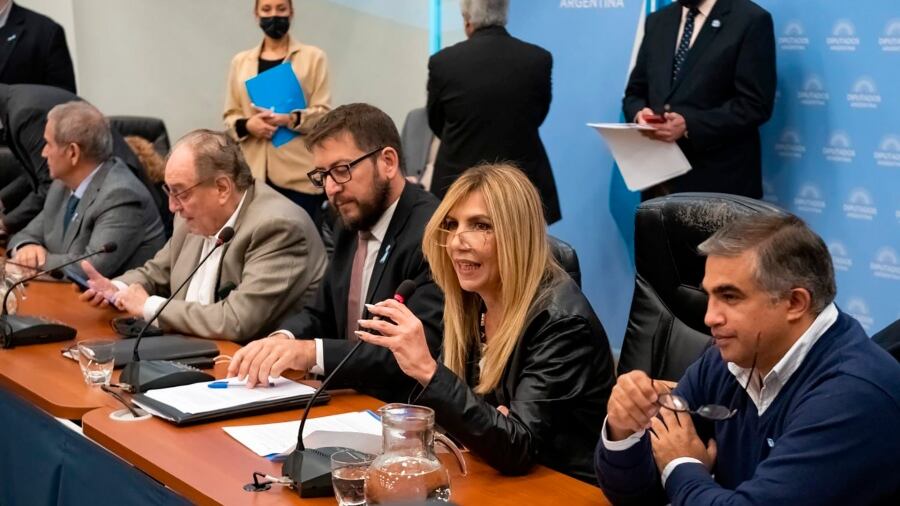 Patricia García Blanco, en el plenario de las comisiones de Asuntos Constitucionales, Justicia y Presupuesto de la Cámara de Diputados.