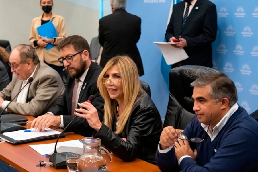 Patricia García Blanco, en el plenario de las comisiones de Asuntos Constitucionales, Justicia y Presupuesto de la Cámara de Diputados.