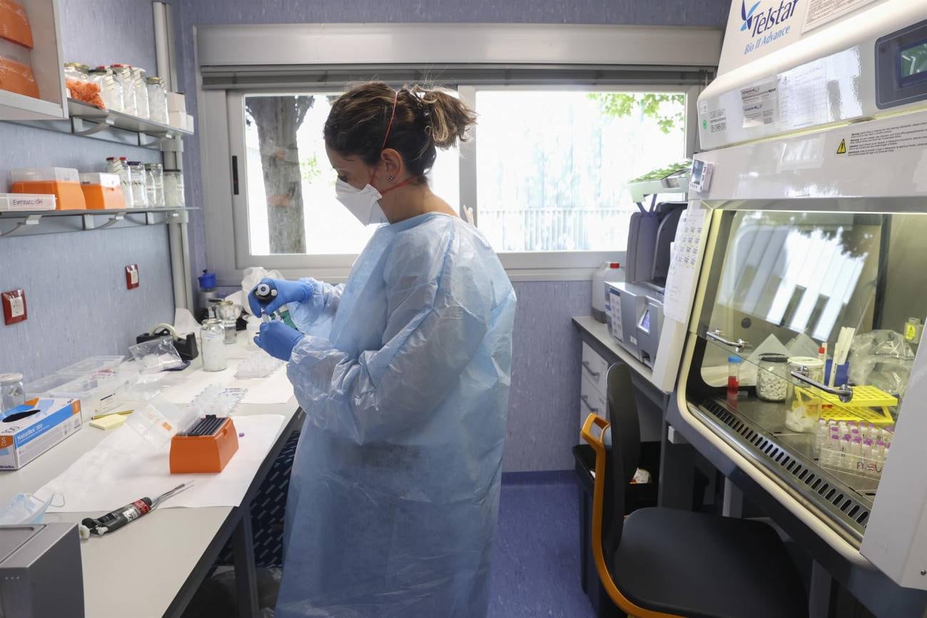 Los casos del viruela del mono ya superaron los 6.000 en todo el mundo, según la OMS. Imagen: EFE.