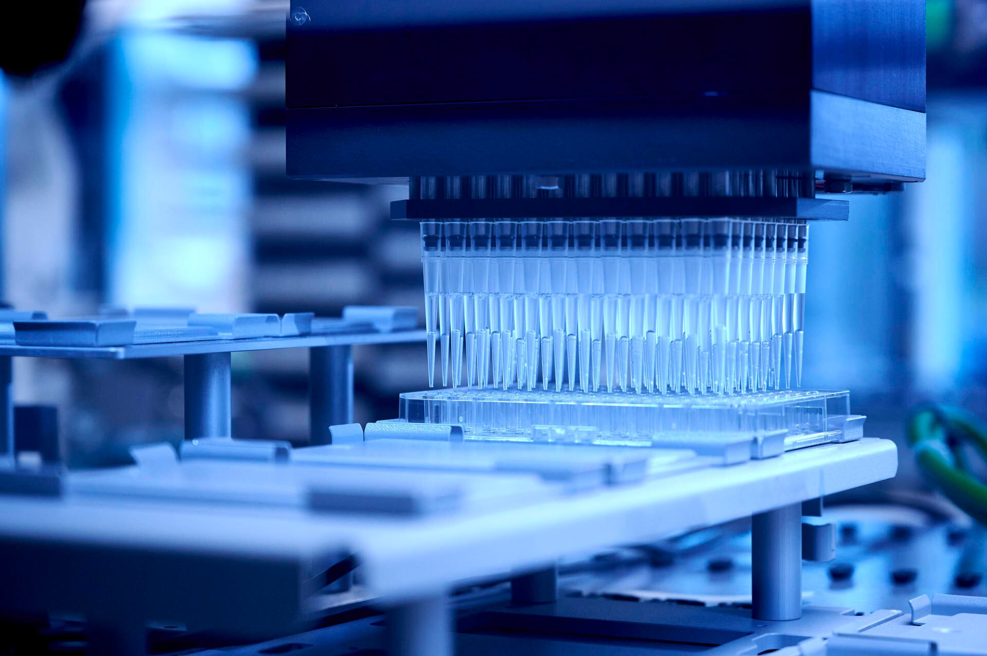 Un proyecto científico propone crear paracetamol a partir de residuos plásticos usando bacterias modificadas