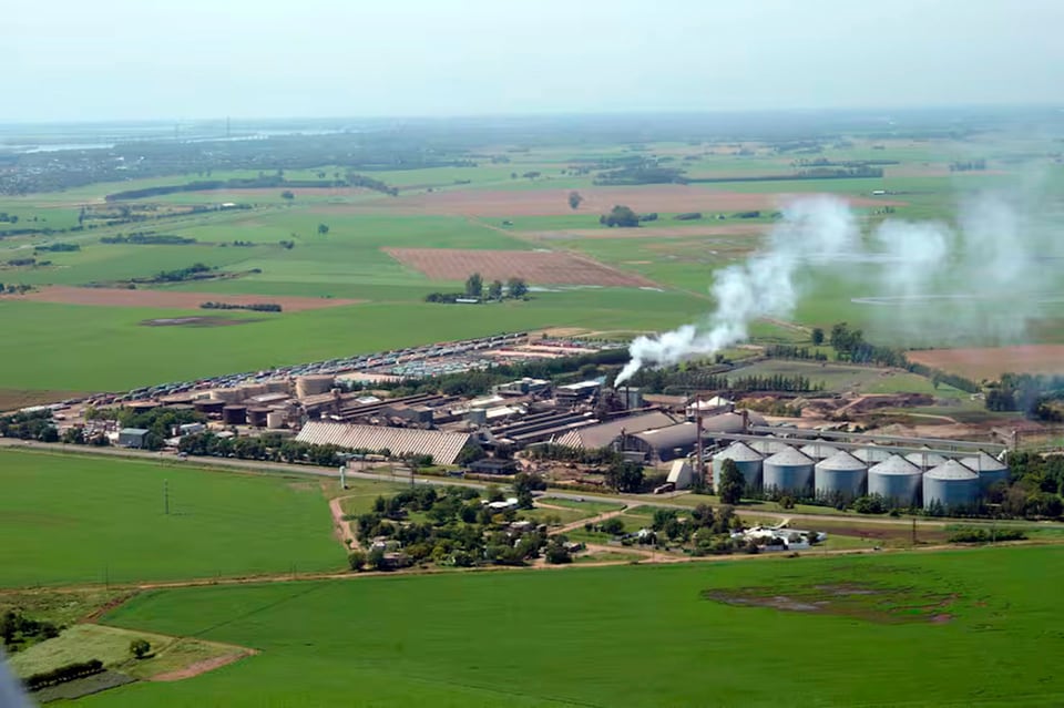 La planta de Ricardone aun tiene girasol acopiado para trabajar.