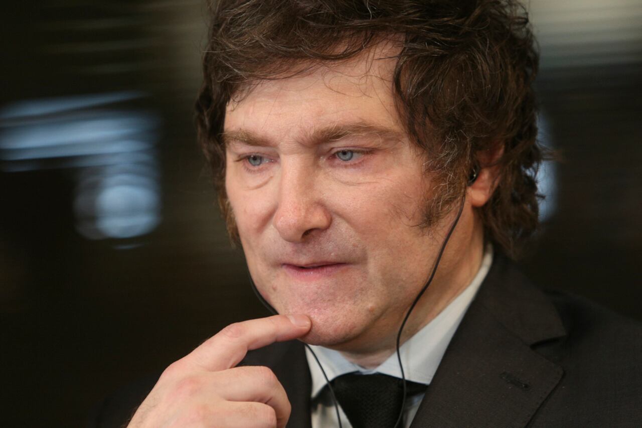 Javier Milei, diputado por La Libertad Avanza.