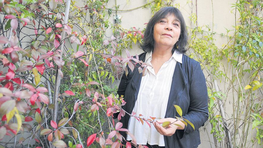 La idea y realización del manifiesto fue de Liliana Herrero.