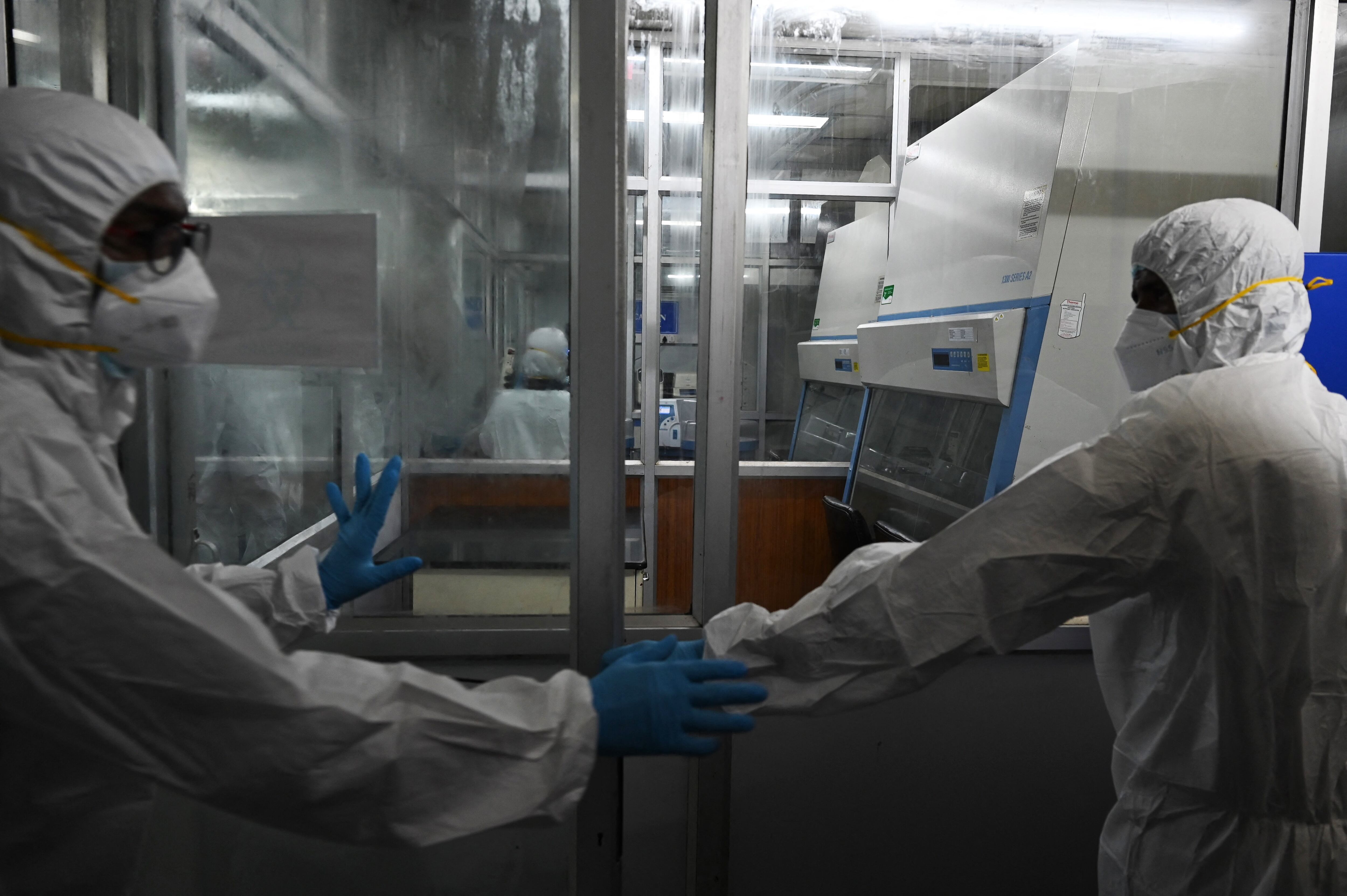 Brasil elabora un "Plan de Contingencia" frente al brote de la viruela símica (Foto: AFP).