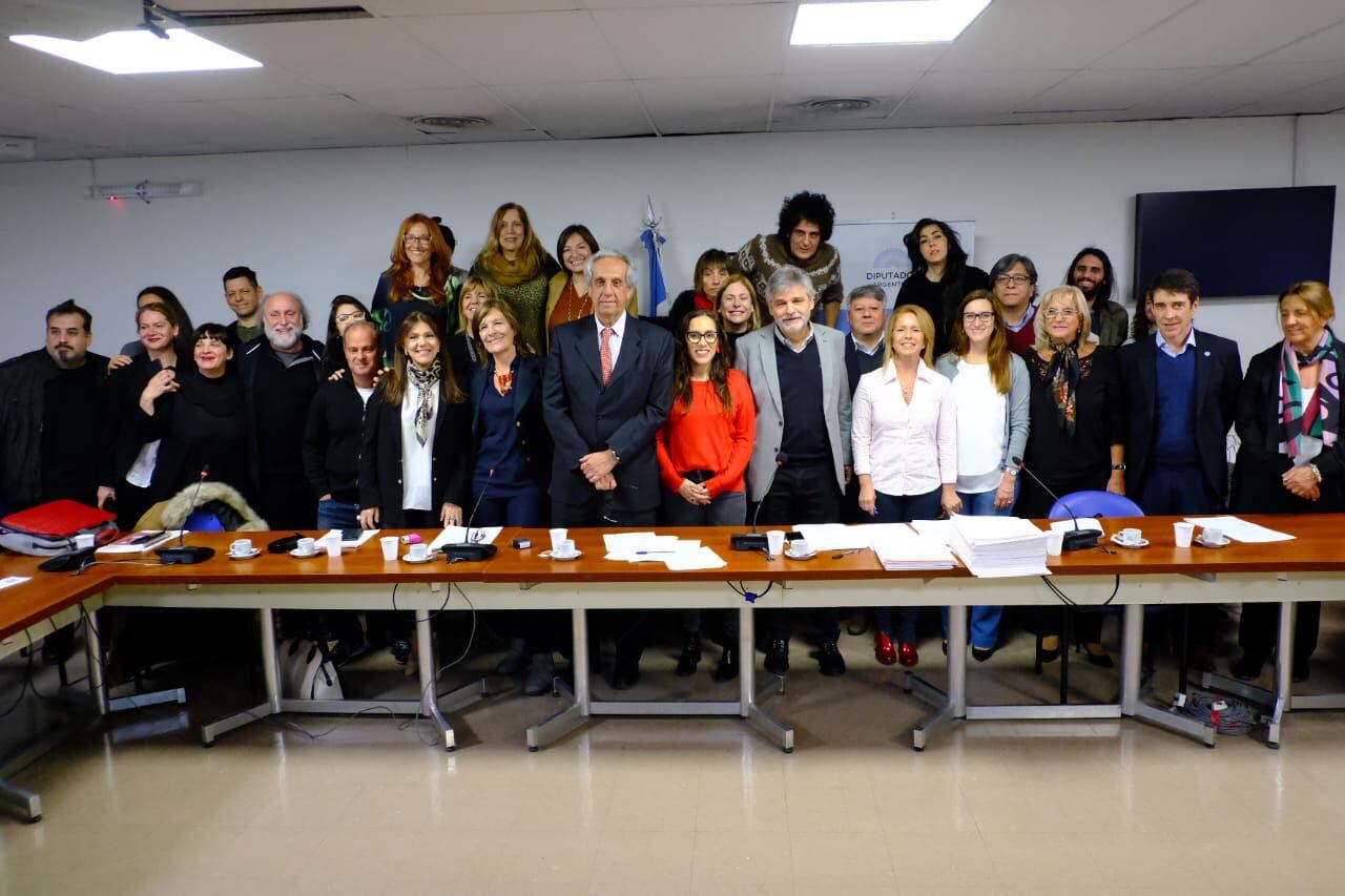 La Comisión de Cultura debatió con representantes del sector.
