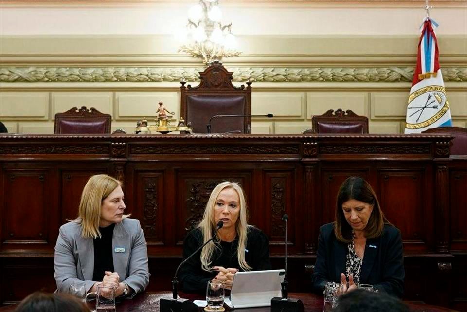 La fiscal Vranicih expuso en la Legislatura provincial.