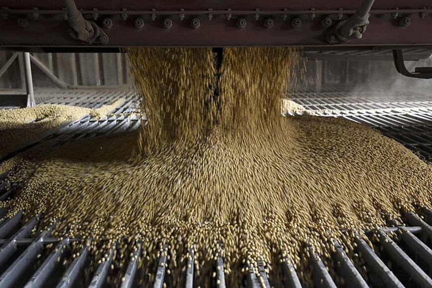 El sector exportador de granos, clave para apalancar las reservas
