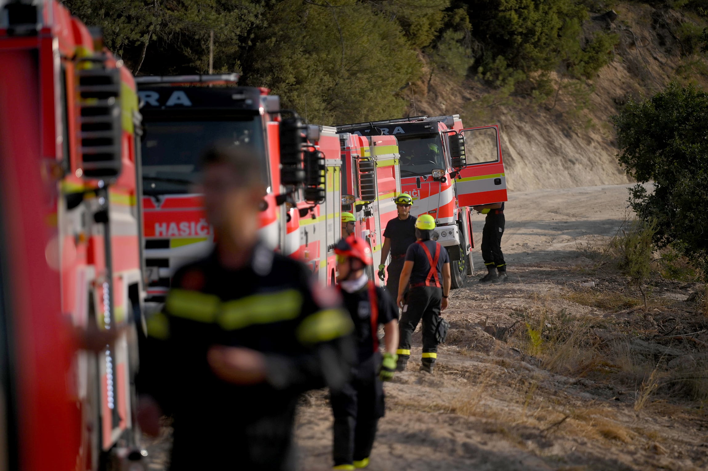 Bomberos y voluntarios griegos y extranjeros, junto con ayuda terrestre y aérea, luchan para contener y apagar el gran incendio en el  bosque de Dadia.