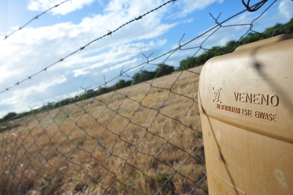 Imagen: Luciana Granovsky