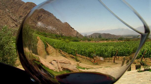 Los jóvenes productores intentan una producción más orgánica y un acercamiento más relajado al mundo del vino.