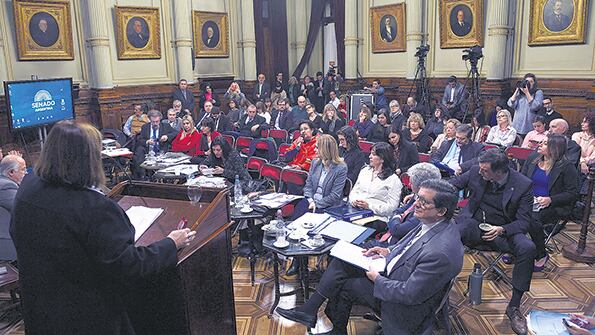 La audiencia de ayer cerró la segunda semana de debate por el aborto en el Senado.