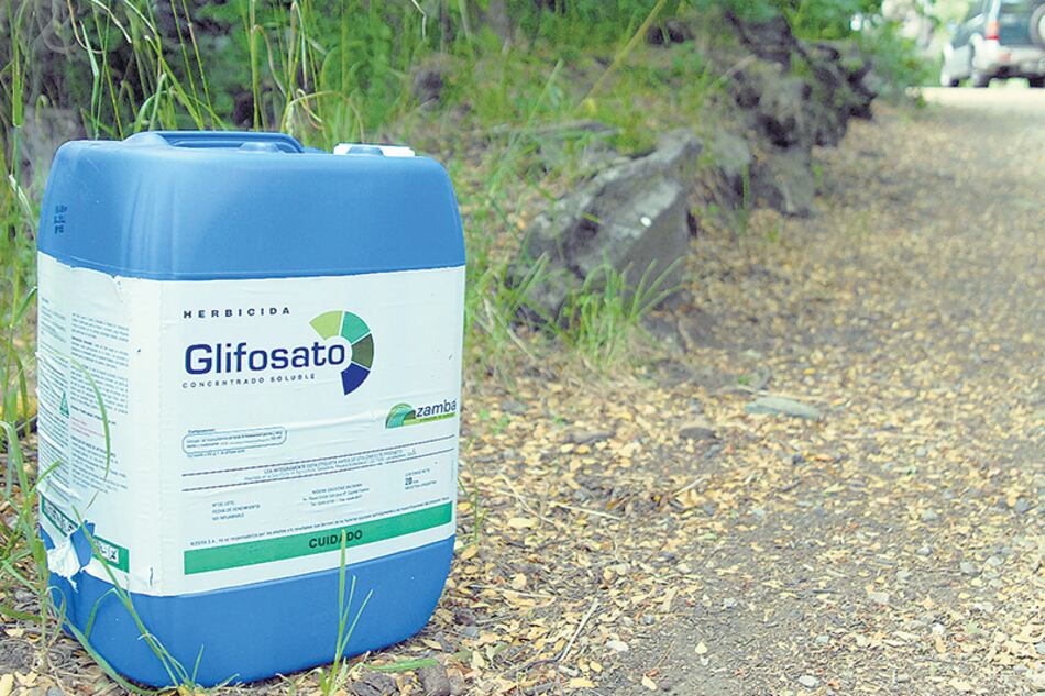 Los campos de soja, maíz y algodón son rociados con glifosato para que no crezca nada salvo los transgénicos.