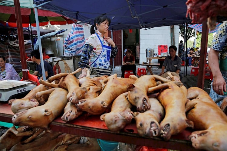 Una imagen usual que dejará de serlo en Shenzhen: la venta de perros para comer.