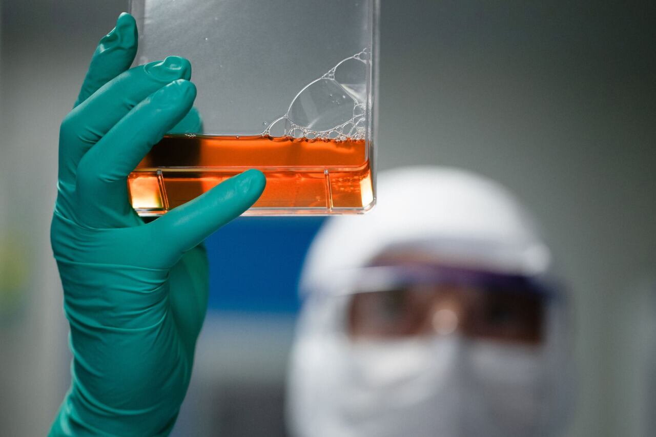 Ivermectina y el suero equino, los dos remedios argentinos para tratar el coronavirus que estarán disponibles este mes.