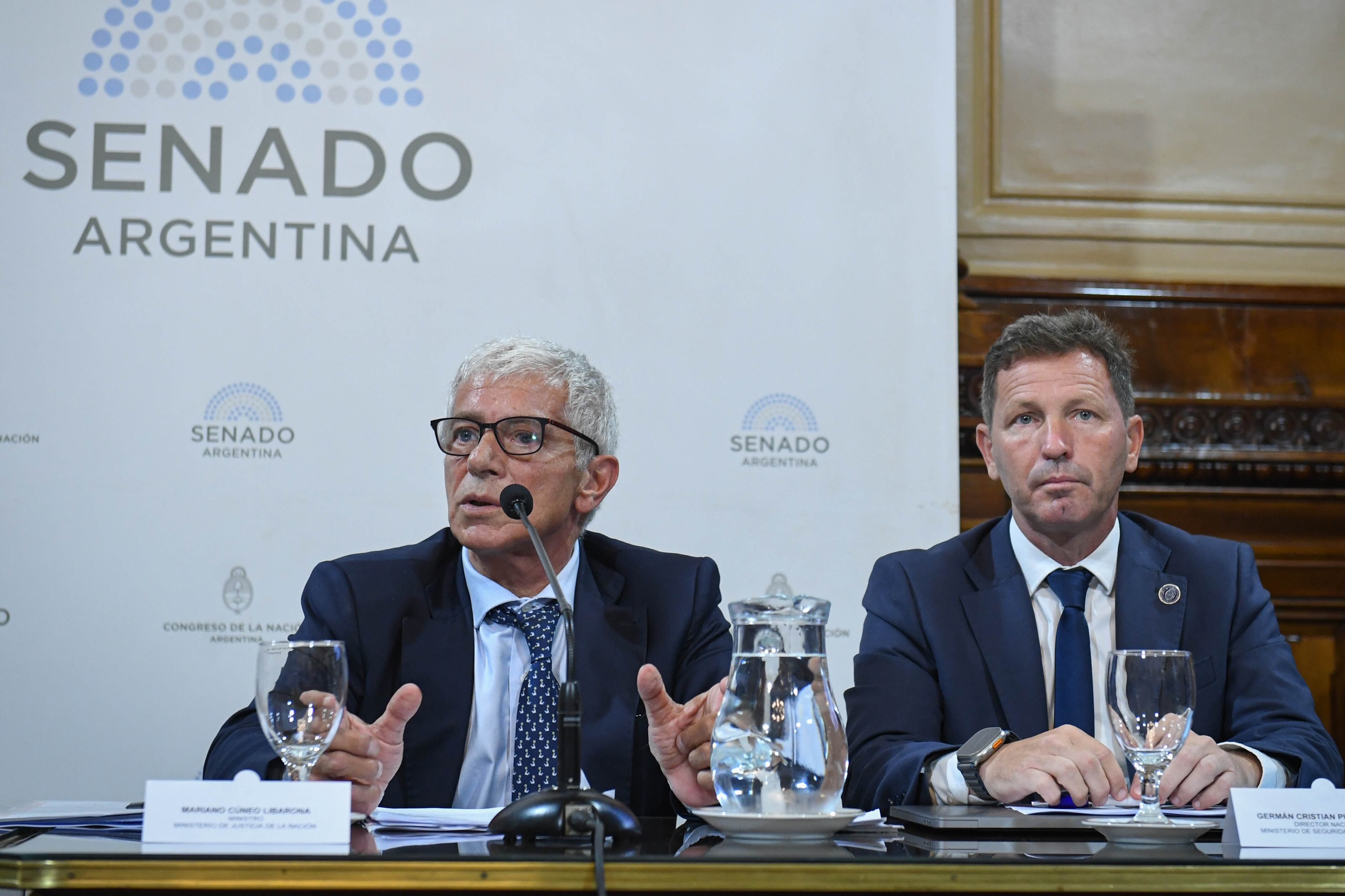 El ministro Cuneo Libarona en el Senado.