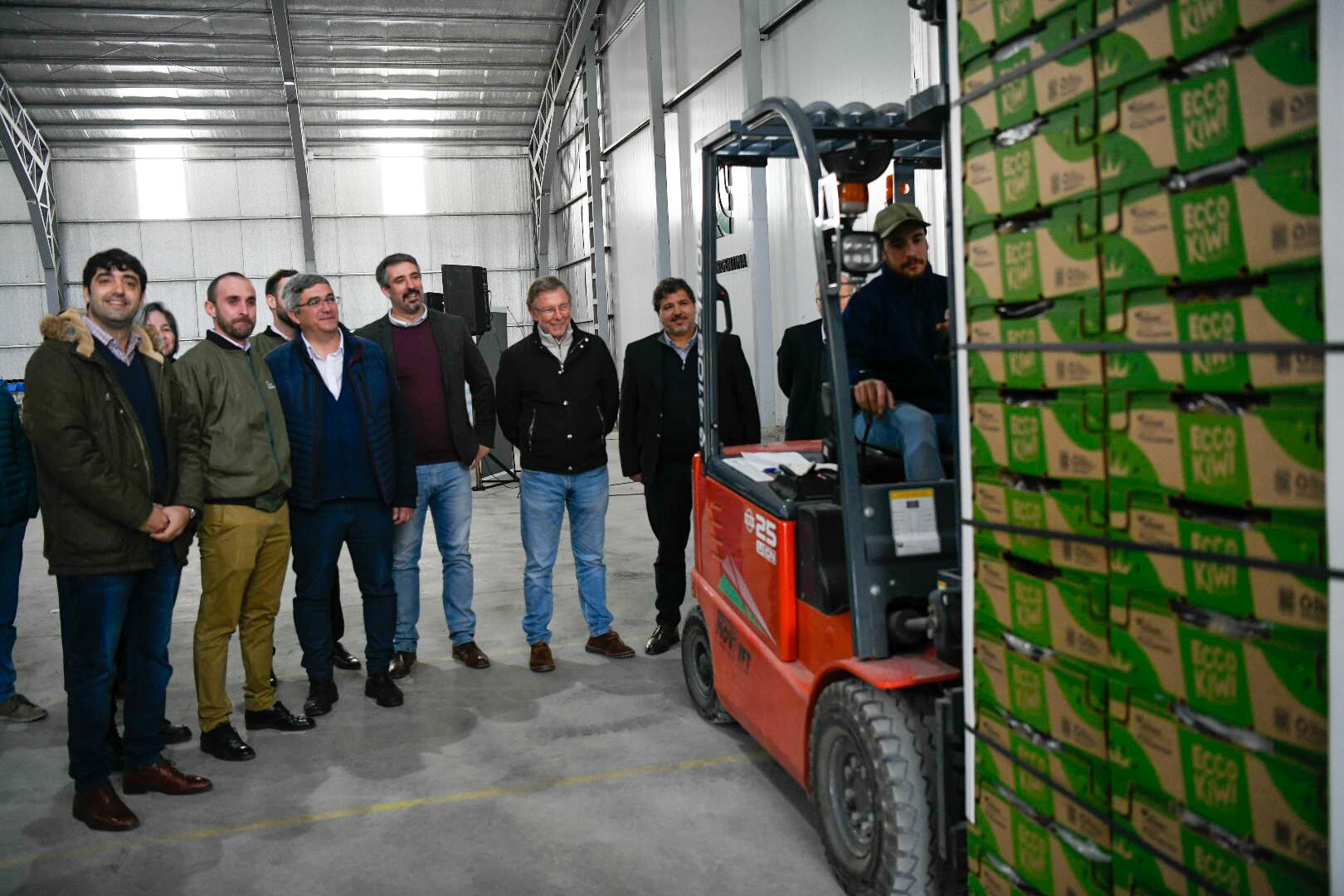 La Cooperativa Ecco Argentina exporta kiwis con Indicación Geográfica y Orgánico Argentina