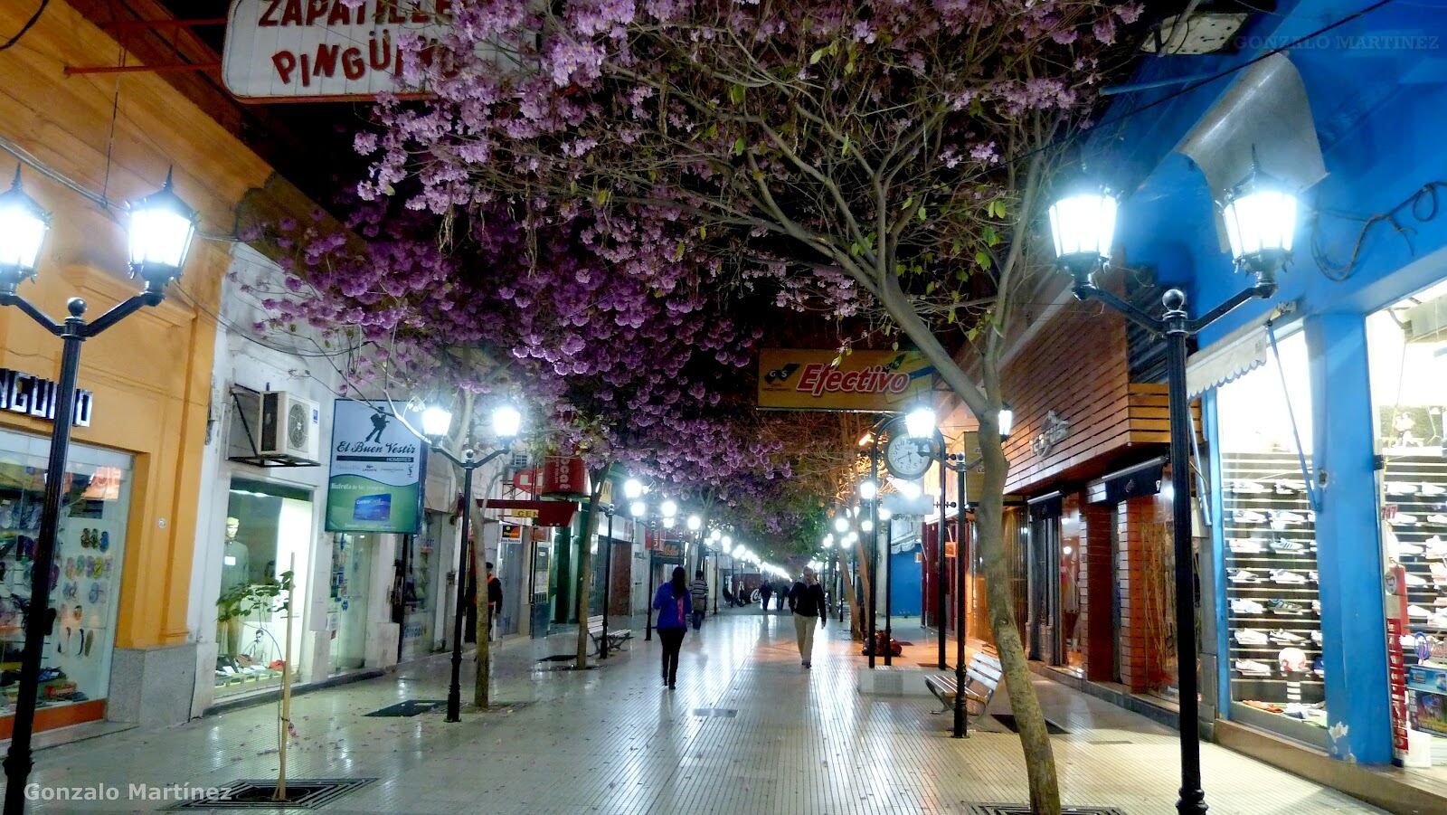 Peatonal Rivadavia